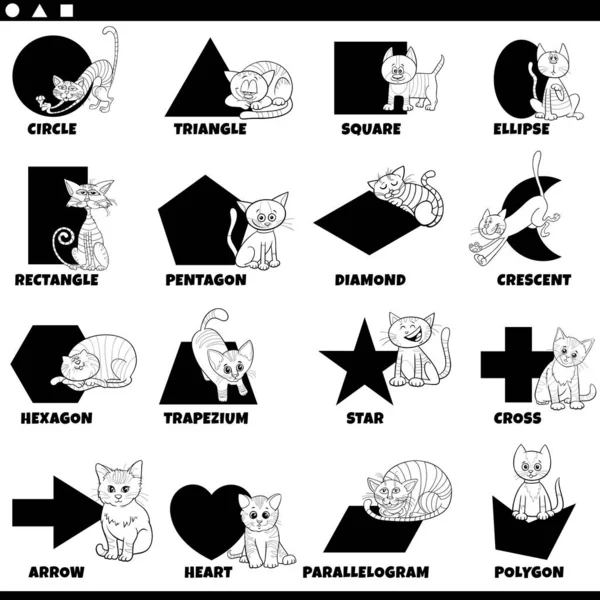 Black White Educational Cartoon Illustration Basic Geometric Shapes Captions Cats — Stock Vector