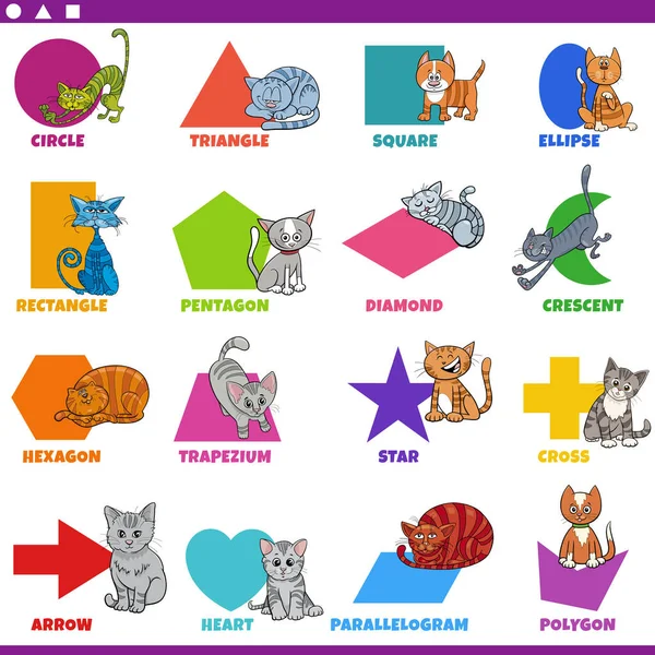 Educational Cartoon Illustration Basic Geometric Shapes Captions Cats Animal Characters — Stockvektor