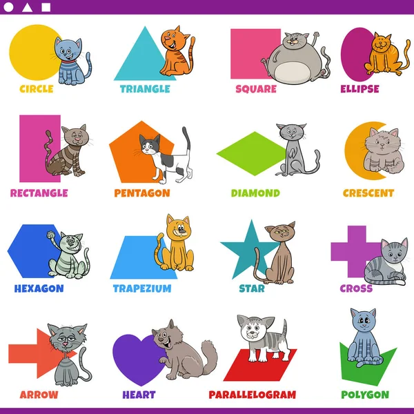 Educational Cartoon Illustration Basic Geometric Shapes Captions Cats Animal Characters — Stock Vector