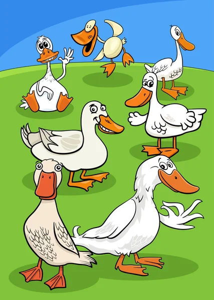 Cartoon Illustration Ducks Farm Birds Animals Group Countryside — Image vectorielle