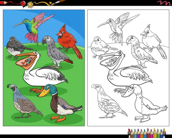 Cartoon Illustration Birds Animal Characters Coloring Page — Stock vektor