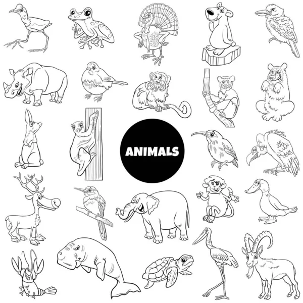 Ασπρόμαυρη Εικονογράφηση Κινουμένων Σχεδίων Των Αστείων Άγρια Ζώα Χαρακτήρες Είδος — Διανυσματικό Αρχείο