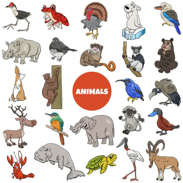 Cartoon Illustration Wild Animal Species Characters Big Set — Stok Vektör