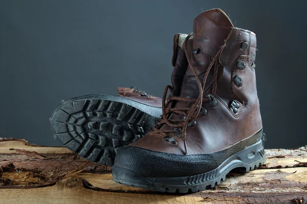 Wandelschoenen Stockfoto