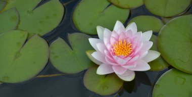 Güneş Eifel 'den doğuyor.