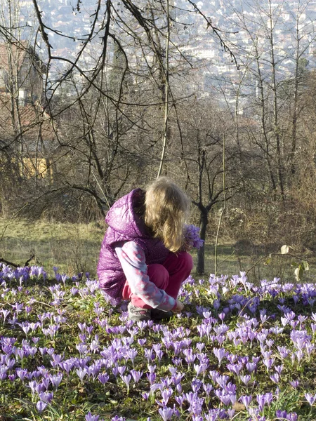 Menina de 5 anos na primavera — Fotografia de Stock