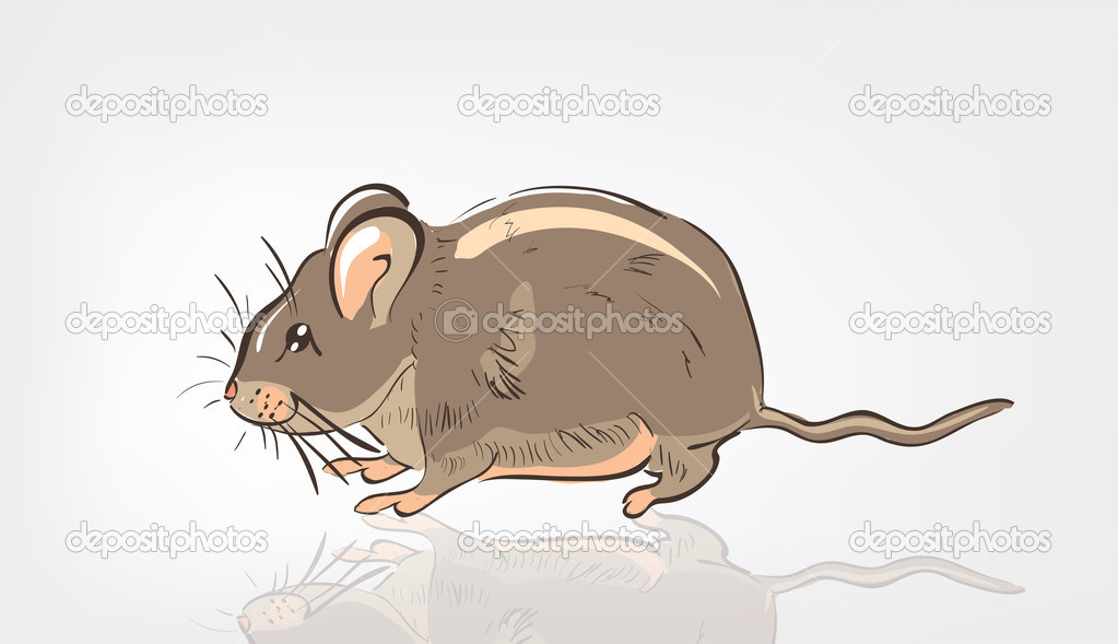 Cartoon Rat
