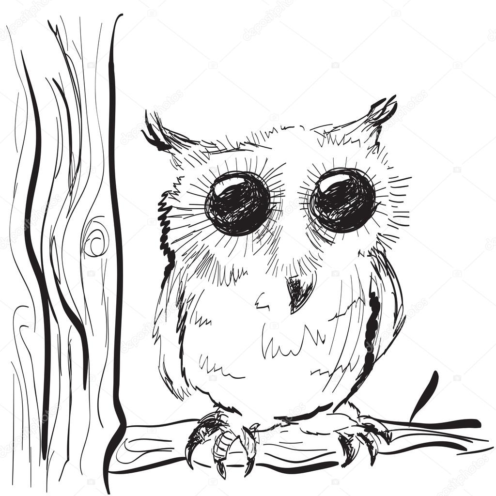 Owl on a tree sketch