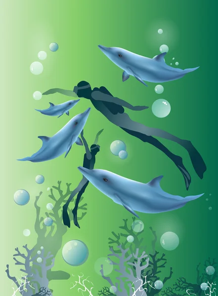 Dua penyelam dengan lumba-lumba - Stok Vektor