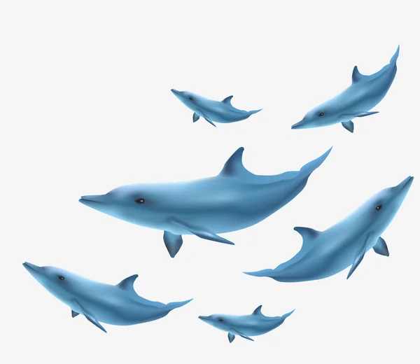 Seis delfines — Vector de stock