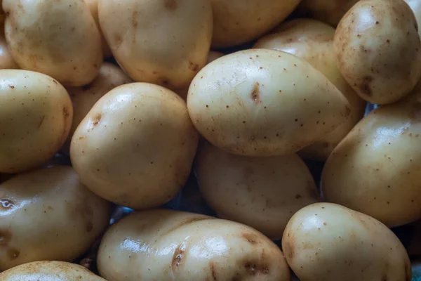 Frisch Gewaschene Rohe Kartoffeln Hintergrund Nahaufnahme — Stockfoto