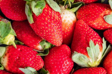 Taze ve olgun çilekler. Arka plan yakın plan.