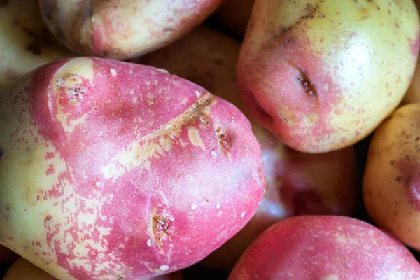 Patatas crudas maduras fondo primer plano —  Fotos de Stock