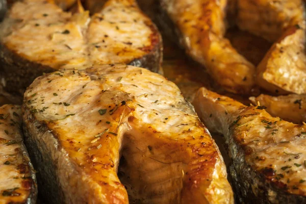 Filés de salmão cozidos na assadeira close-up — Fotografia de Stock