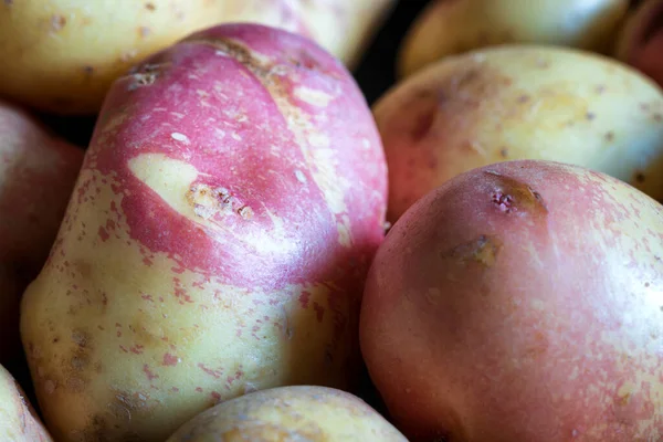 Patatas crudas maduras fondo primer plano —  Fotos de Stock