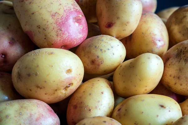 Patatas crudas maduras fondo primer plano —  Fotos de Stock
