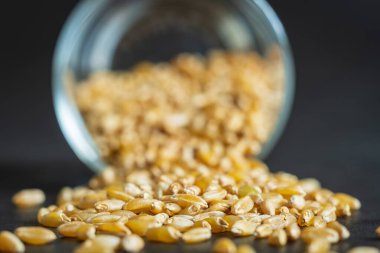 Buğday, bardaktan döküldü. Yakın plan.