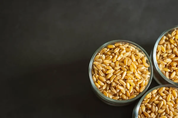 Зерно пшениці всередині скляної банки для зберігання контейнера вид зверху — стокове фото