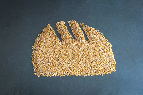 Búza gabona kenyér kenyér alakú koncepció lapos felülnézet — Stock Fotó
