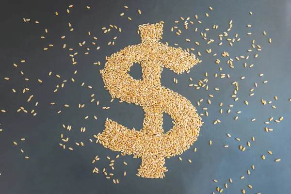 Grão de trigo us dólar sinal forma conceito visão aérea — Fotografia de Stock