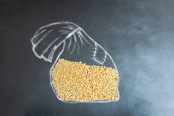 Концепція зберігання зерна пшениці накладний — стокове фото