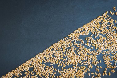 Buğday deseni arkaplan düz genel görünüm