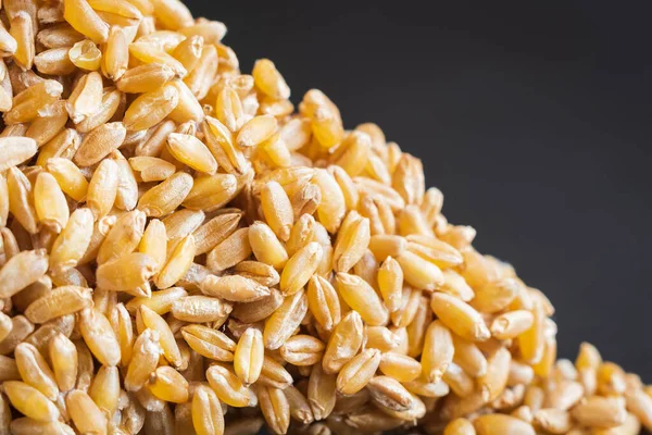 Пшеничний Зерновий Бар Крупним Планом Темному Фоні — стокове фото