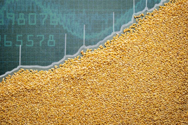 Wheat Grain Directional Price Rise Concept — Stock Photo, Image