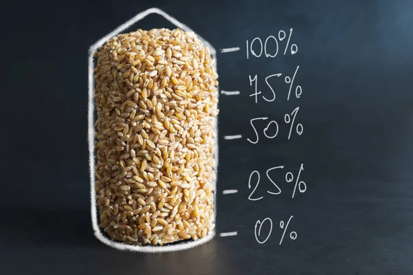 Концепція Зберігання Зерна Пшениці Накладний — стокове фото