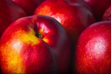 Olgun nektarin meyve arkaplanı yakın plan.