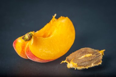 Olgun, tek bir kayısı dilimi koyu arkaplanda kesilip açılmış..