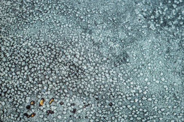 Frozen Aubergine Eggplant Closeup View — Foto de Stock