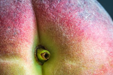 Olgun tek şeftali meyvesi yakın plan..