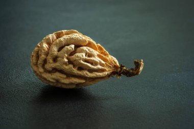 Nektarin tohumu yakın plan..