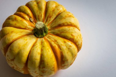 Ripe squash pumpkins background closeup.
