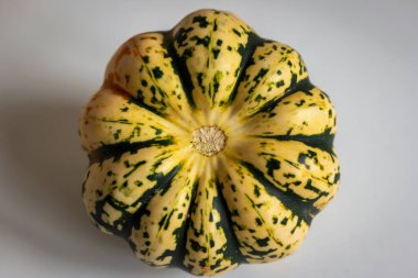 Ripe squash pumpkins background closeup.