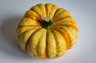 Ripe squash pumpkins background closeup.
