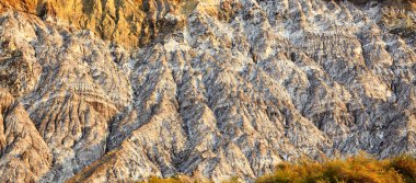 tuzlu lopatari Hills'te
