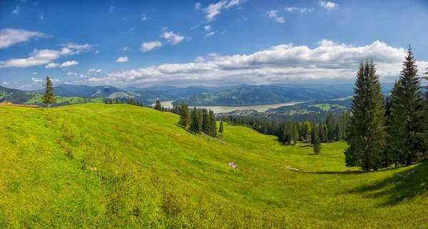 Paesaggio estivo nelle montagne Ceahlau — Foto Stock