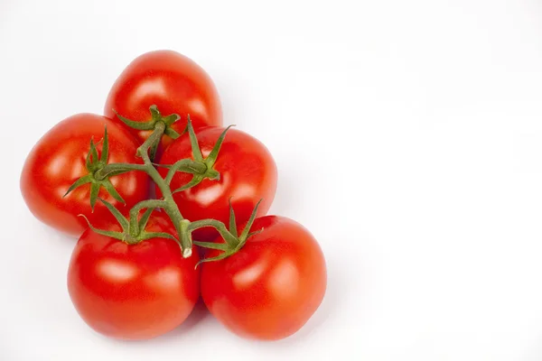 熟的西红柿在白色的分支 — 图库照片