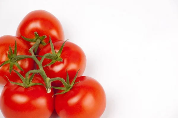 Tomates maduros em um ramo no branco — Fotografia de Stock
