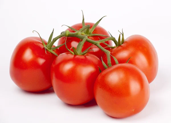 Tomates maduros em um ramo no branco — Fotografia de Stock
