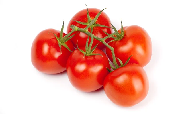 Tomates maduros em um ramo no branco — Fotografia de Stock