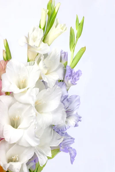 Bouquet of beautiful colorful gladioli — Stock Photo, Image