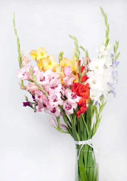 Bouquet of beautiful colorful gladioli — Stock Photo, Image