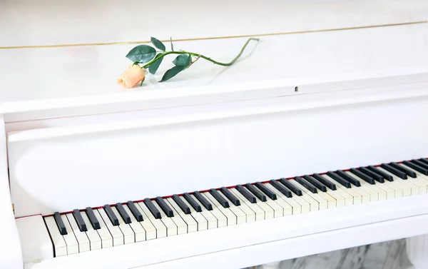 Piano branco com bela rosa amarela — Fotografia de Stock