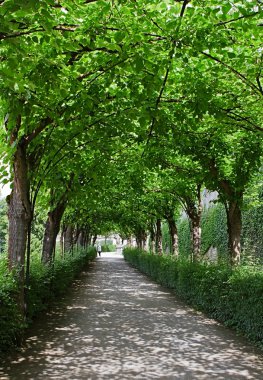 bağ. Germany.wurzbyrg