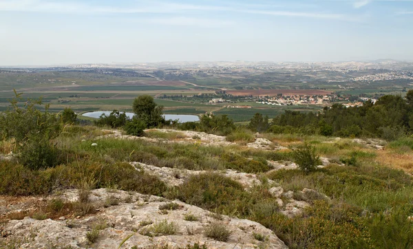 Israel landscape — Stock Photo, Image