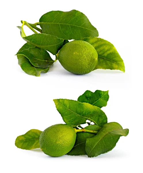 Two picture of lemon — Stock Photo, Image