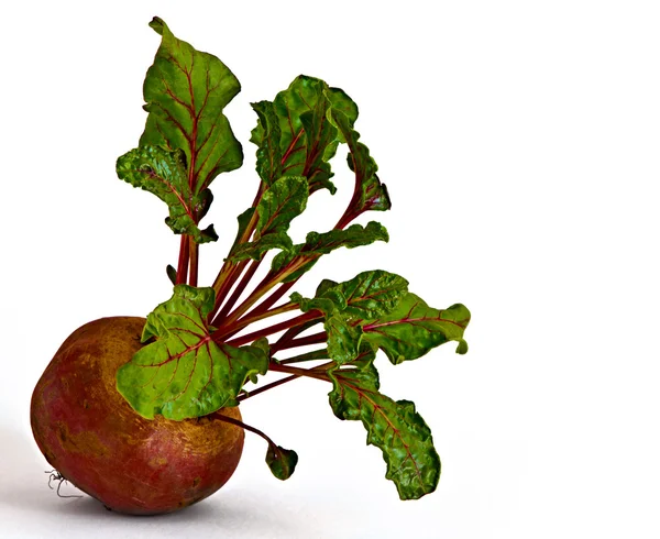 Picture of beetroot — Stock Photo, Image